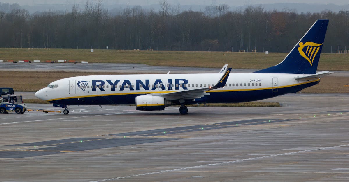 Transavia a lansat vânzarea biletelor pentru sezonul 2025-2026, cu referire la Aeroportul Brașov