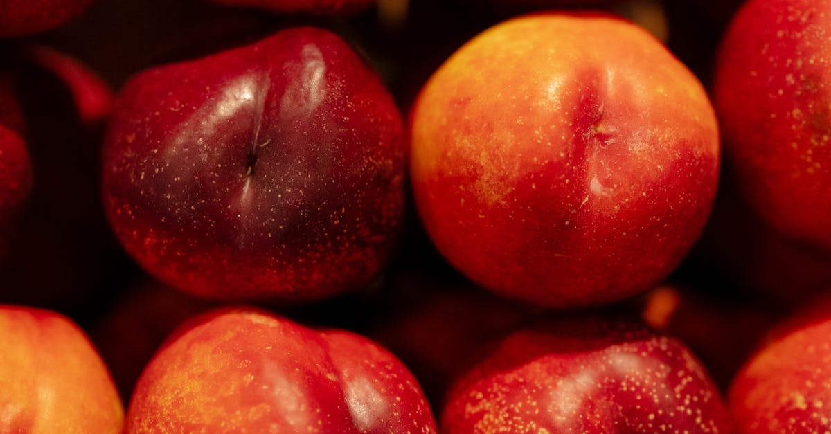 Nectarinele - fructul de vară plin de vitamine. Beneficii, valori nutriționale și modalități de consum