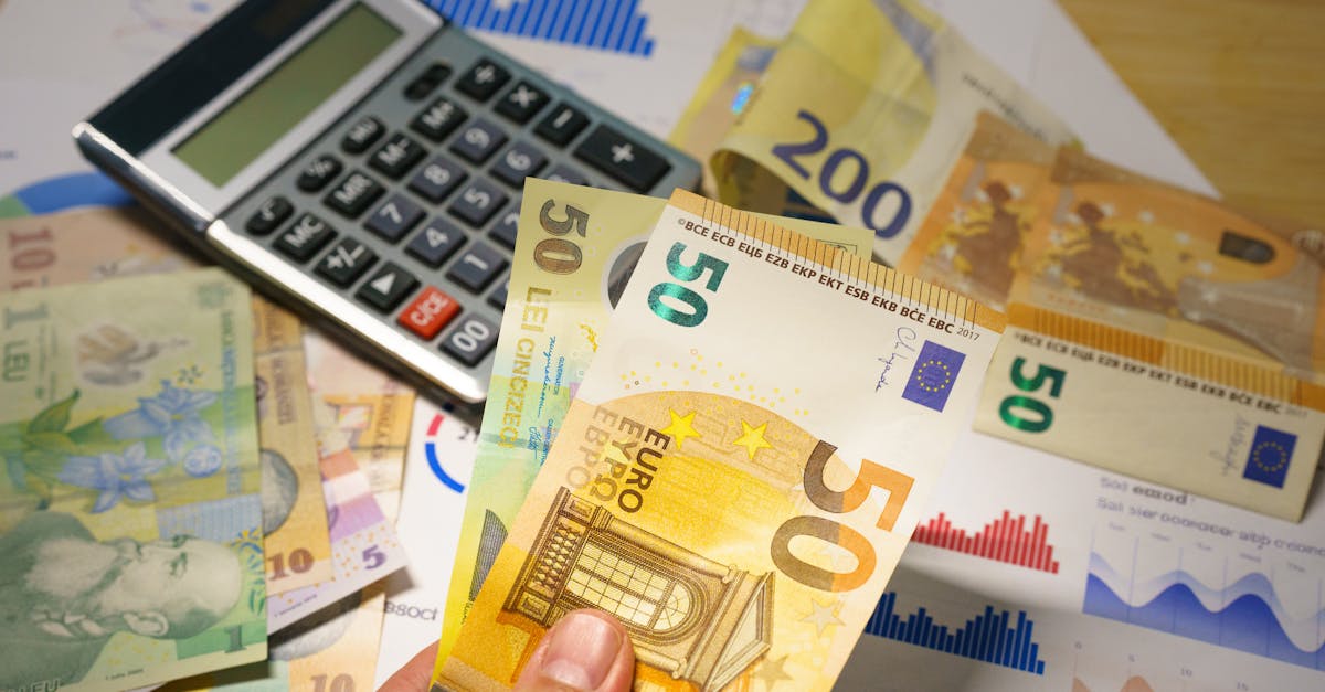 Controversele cursului valutar: politicienii se acuză reciproc în contextul alegerilor