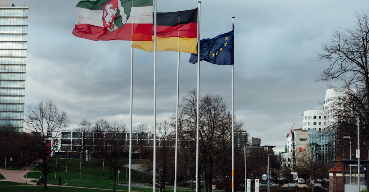 Controversa unui politician german după întâlnirea cu apropiații lui Putin