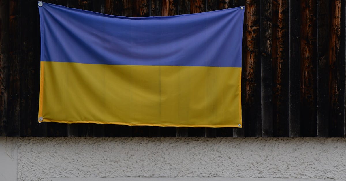 Germania nu va mai publica detalii despre livrările de arme către Ucraina