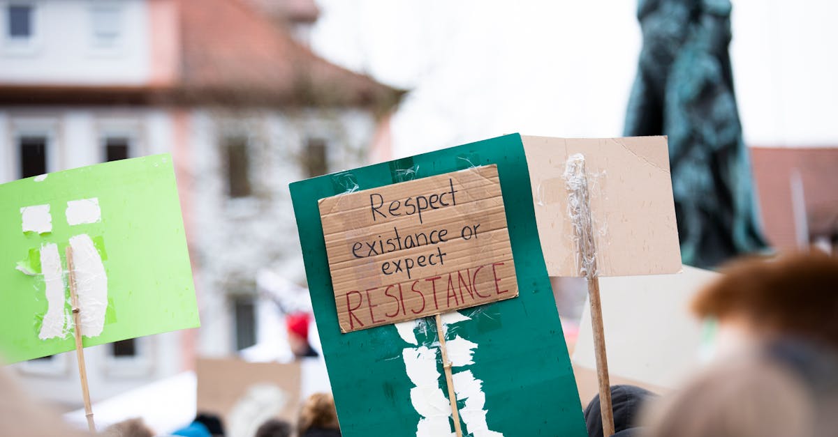 Mii de oameni din Germania protestează pentru interzicerea AfD: „Nu este un partid normal”