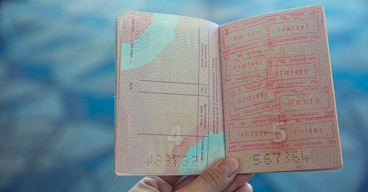 Nicuşor Dan, despre declarațiile lui Simion referitoare la Visa Waiver: O poziție subordonată pentru un suveranist