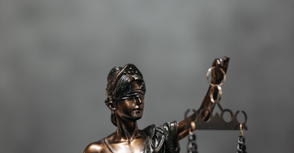 Un avocat oferă asistență juridică gratuită celor care doresc să-l acționeze în judecată pe Simion pentru promisiunile de case la 35.000 €