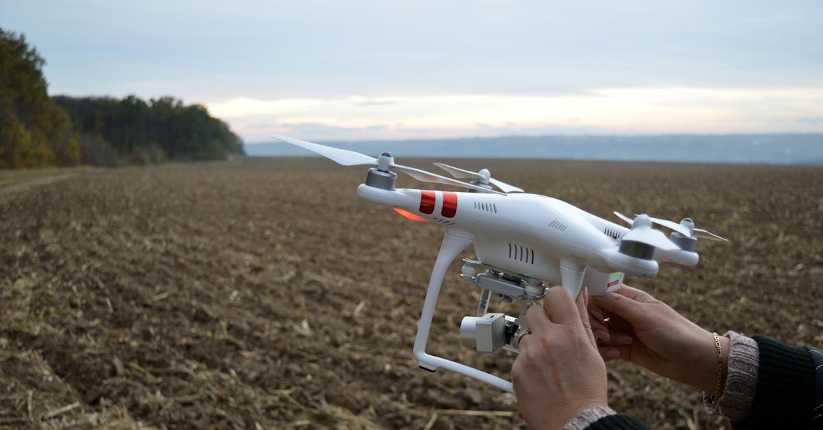 Dronele de la Carfil, supuse inspecției de către ministru