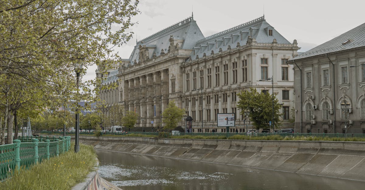 Tribunalul București se va pronunța joi asupra cererii DNA de arestare preventivă a lui Vlad Oprea