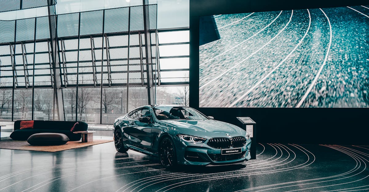 Descoperire de 150.000 de euro în BMW-ul unui român în Germania: bunuri de contrabandă confiscate de vameși