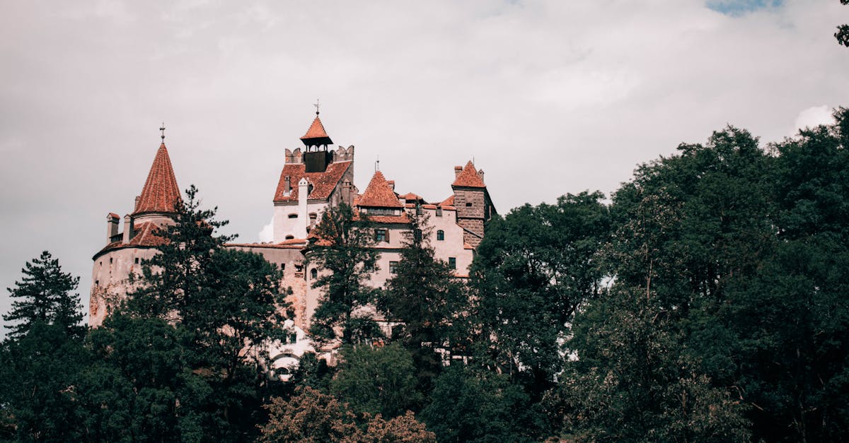 Județul Brașov a înregistrat o creștere a numărului de turiști