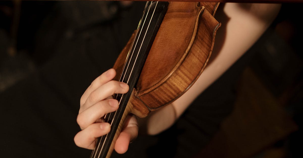 Muzician al Filarmonicii de Stat din Sibiu în greva foamei, reclamând condiții de muncă inadecvate