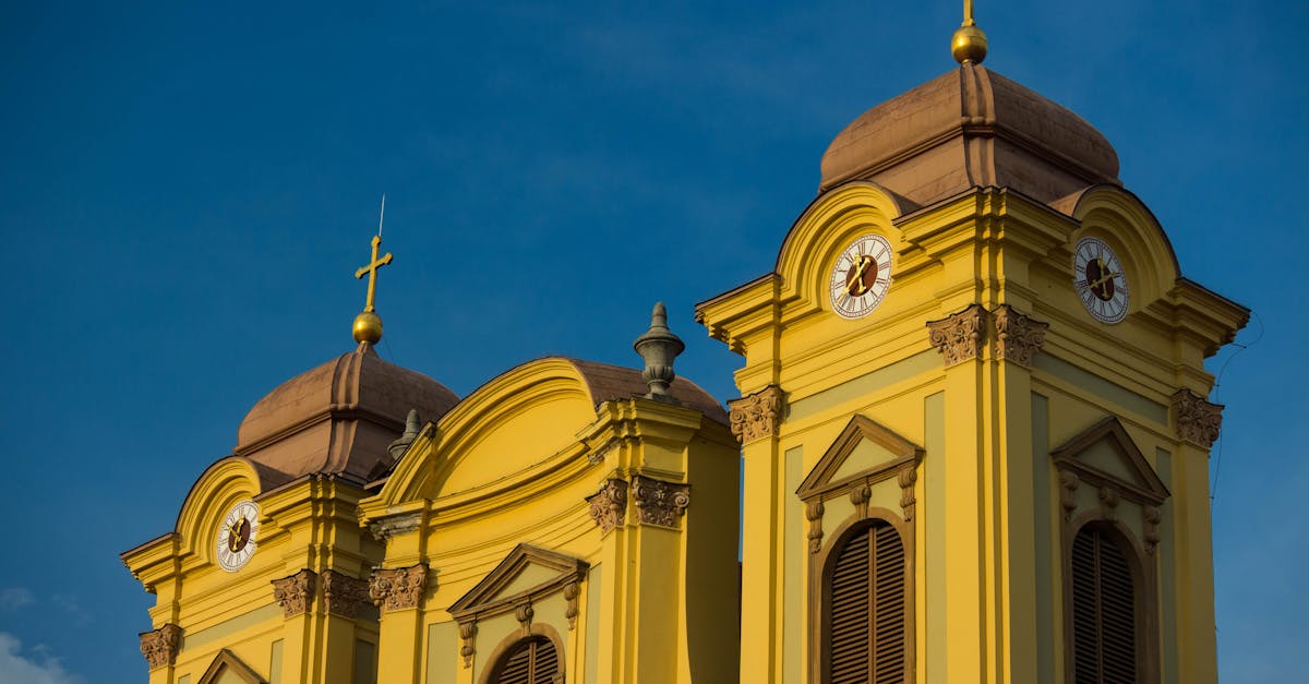 Nicușor Dan a votat în Făgăraș, alături de George Simion și Călin Georgescu