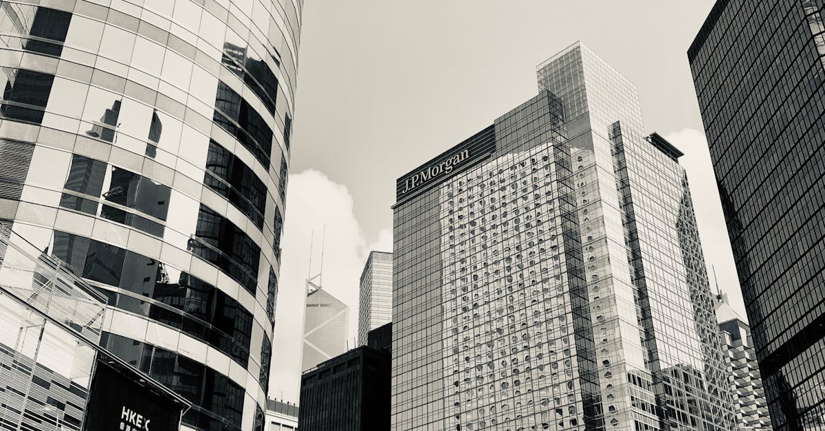 JPMorgan își revizuiește estimările privind devalorizarea leului: victoria lui Nicușor Dan diminuează riscurile politice