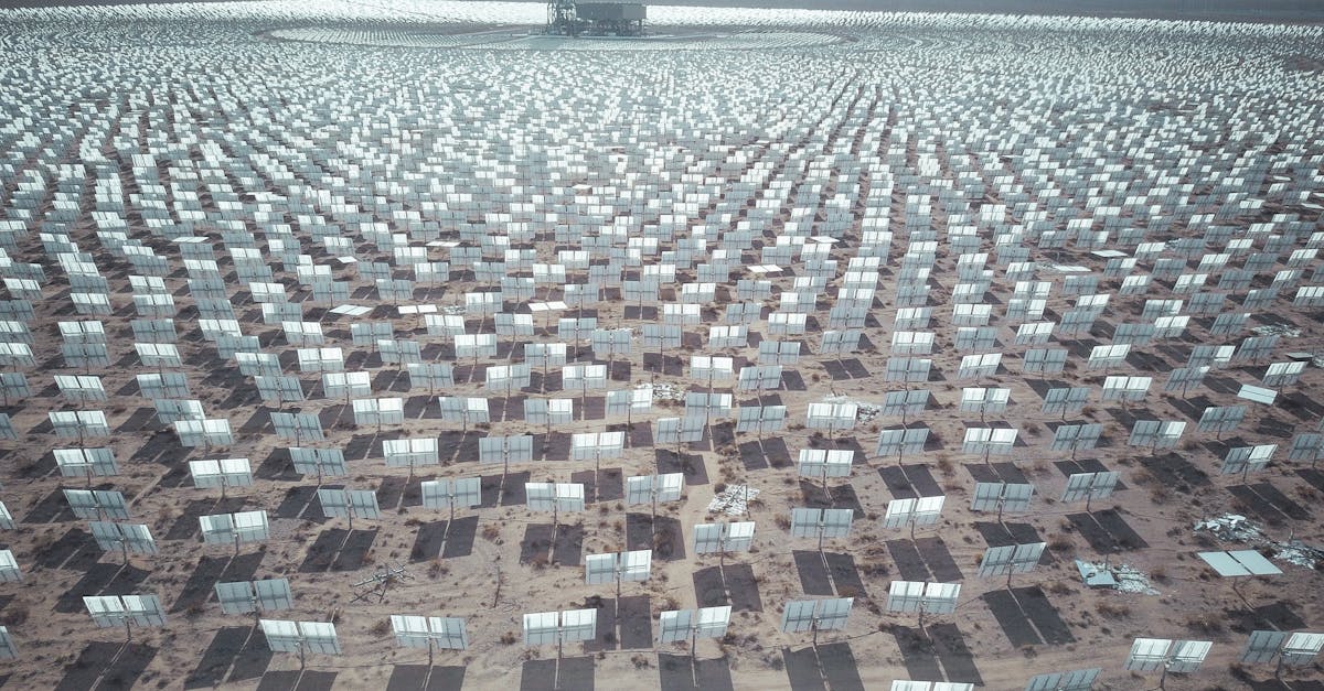Investițiile lui Rinat Ahmetov în România continuă cu un nou parc fotovoltaic