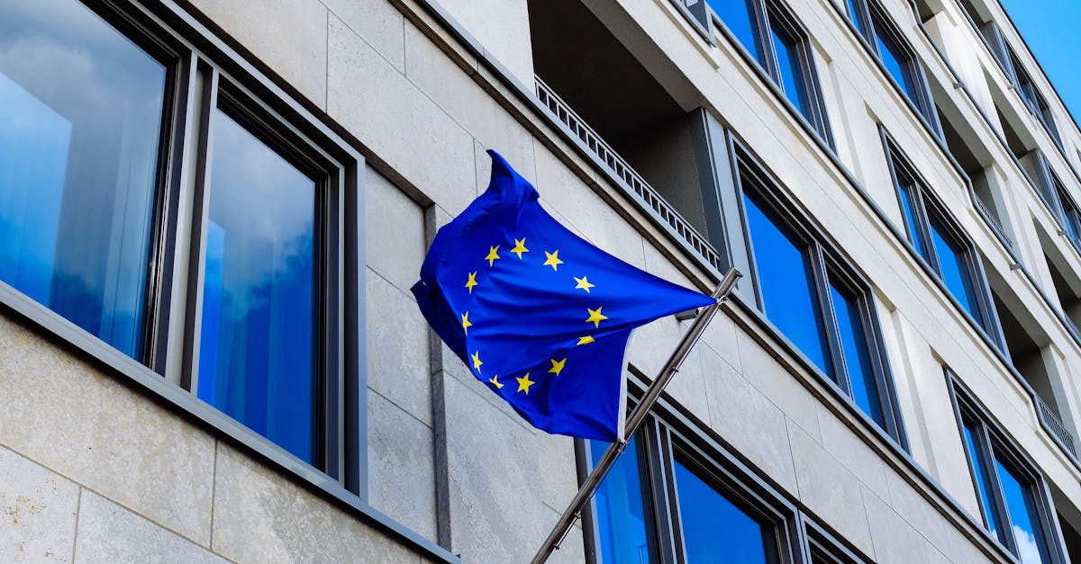 Regatul Unit și Uniunea Europeană au semnat un nou parteneriat strategic, la cinci ani după Brexit