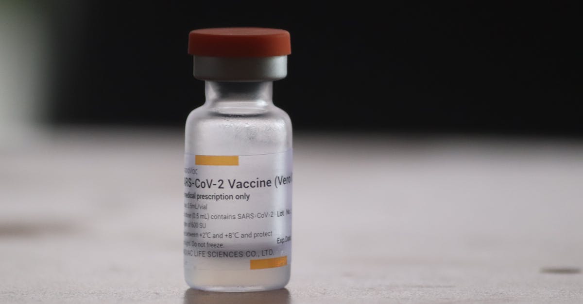 OMS adoptă un tratat pentru viitoarele pandemii: acces echitabil la vaccinuri, medicamente și alte resurse