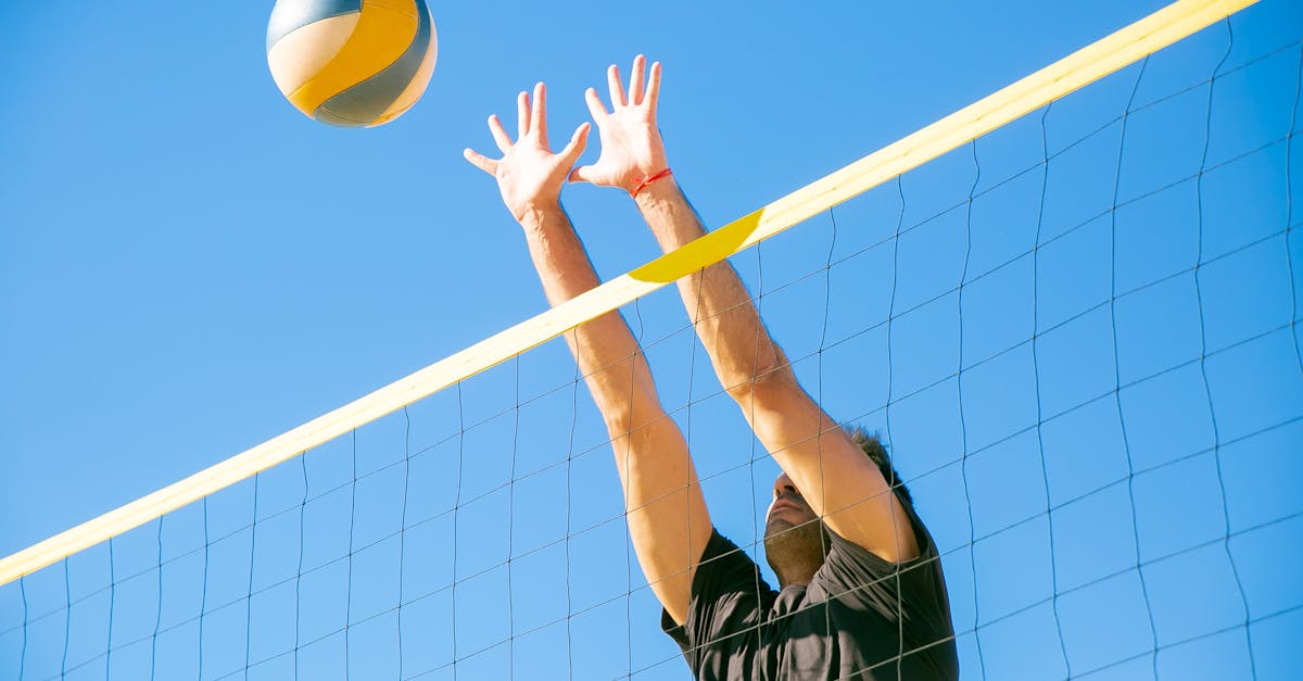 Noutăți importante la Corona Brașov: transferurile echipelor de volei și handbal