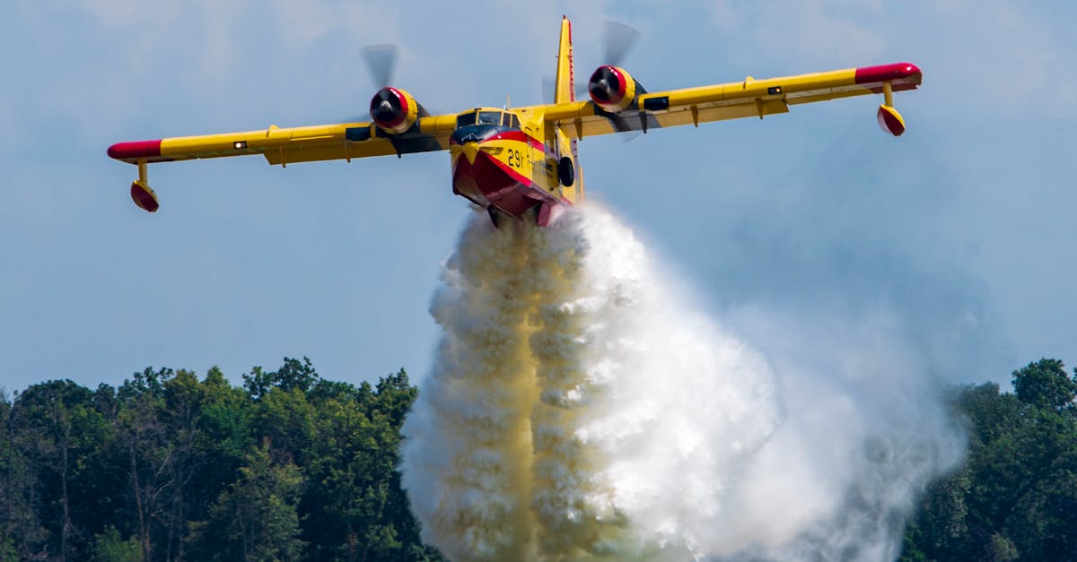 Avion prăbușit în San Diego: incendiu devastator în cartierul Murphy Canyon