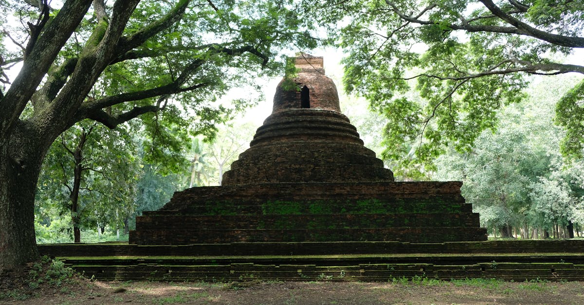 Pățania unei turiste românce în Thailanda: cum a pierdut 8.600 de dolari de pe card în vacanță