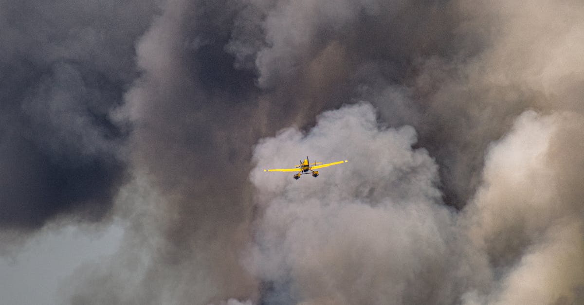Un avion s-a prăbușit într-un cartier din San Diego, provocând incendii
