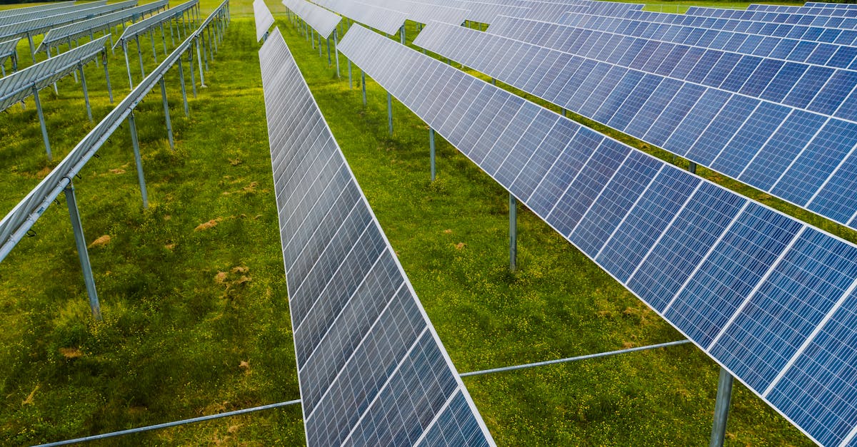 Cum companiile românești inovează soluții pentru prosumatorii de energie verde