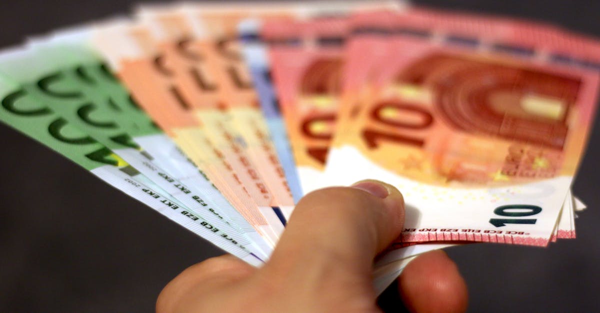 Guvernul român își propune să atragă 44 de miliarde de euro de la UE în următorii patru ani