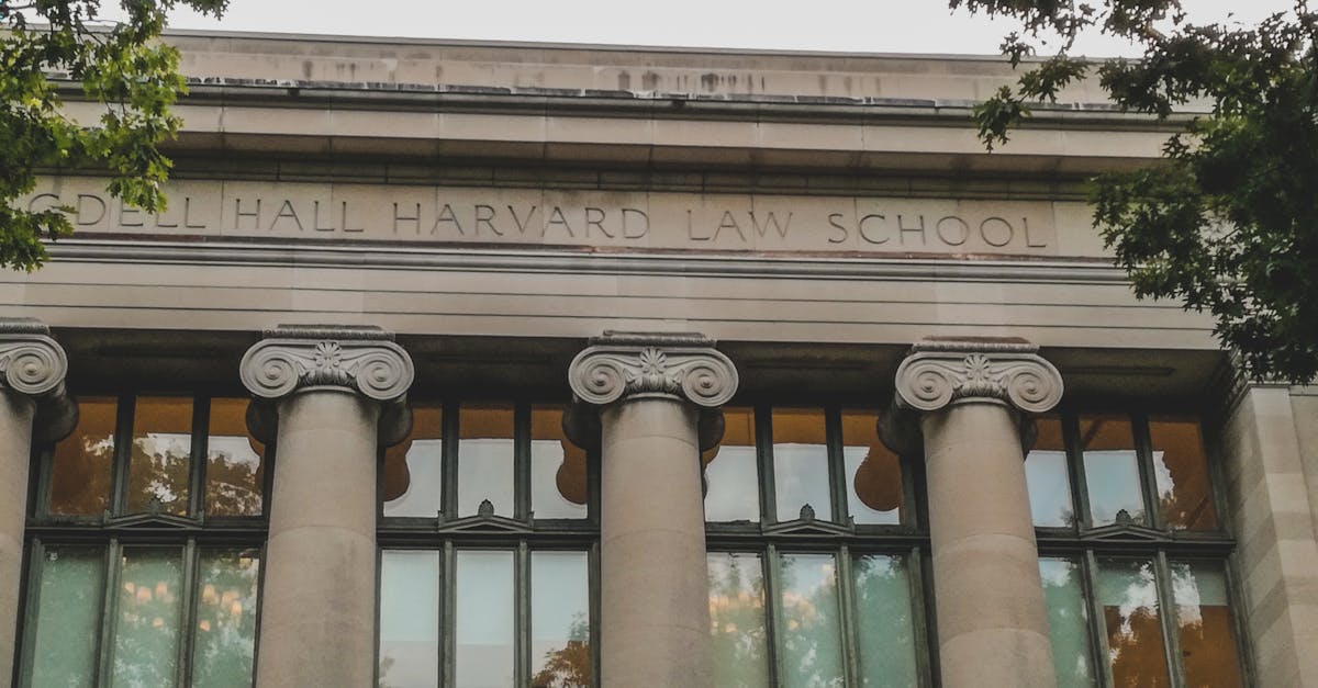 Administrația Trump interzice Universității Harvard înscrierea studenților străini