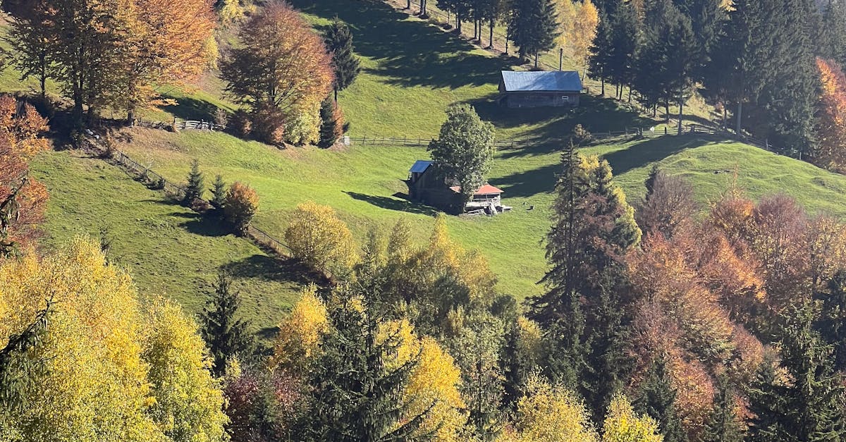 Tulcea, o destinație captivantă pentru vacanța de Rusalii