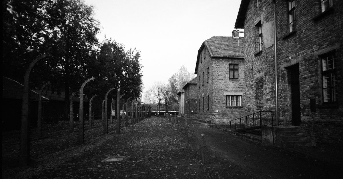 Olivia a fost găsită moartă în casă. Românca ar fi fost ucisă involuntar de partenerul ei în Belgia