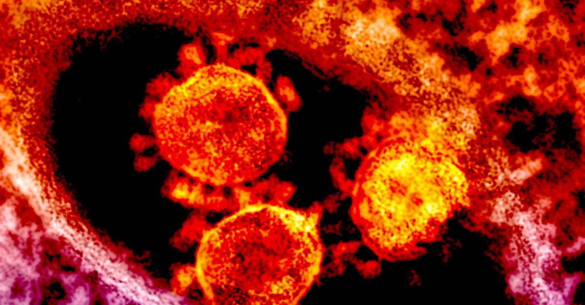 Macedonia de Nord confirmă primele două cazuri de infectare cu mpox, fără istoric de călătorie