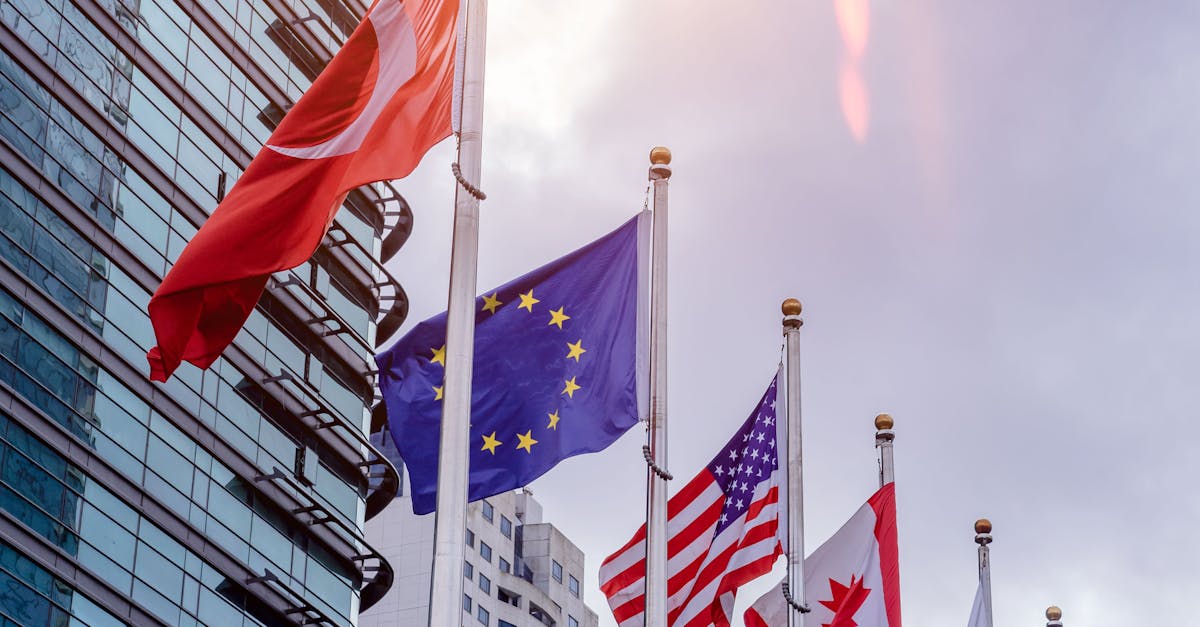 Trump amână introducerea taxelor vamale de 50% asupra Uniunii Europene