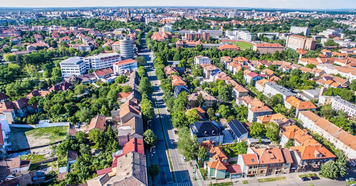 Școli în construcție: povestea liceului Nikolas Lenau, unde elevii sunt prieteni cu furnicile și șoriceii
