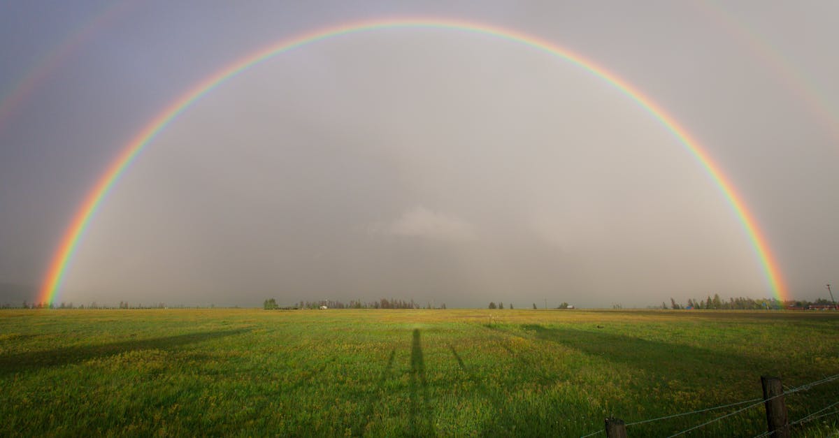 România sub cod galben și portocaliu de ploi abundente: agricultorii văd o speranță