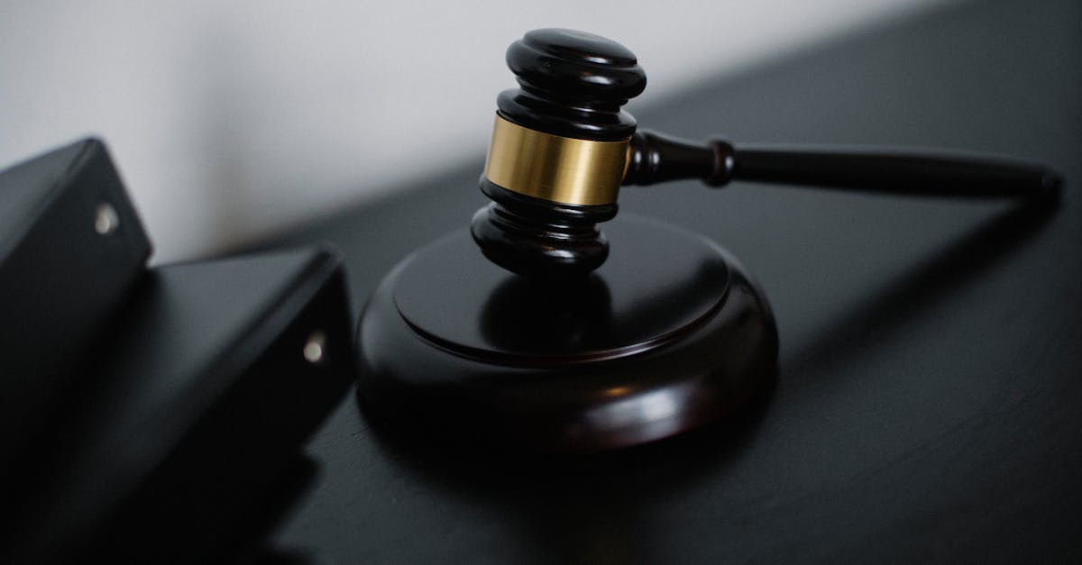 Tribunalul Prahova reduce pedeapsa Elenei Udrea cu aproximativ opt luni
