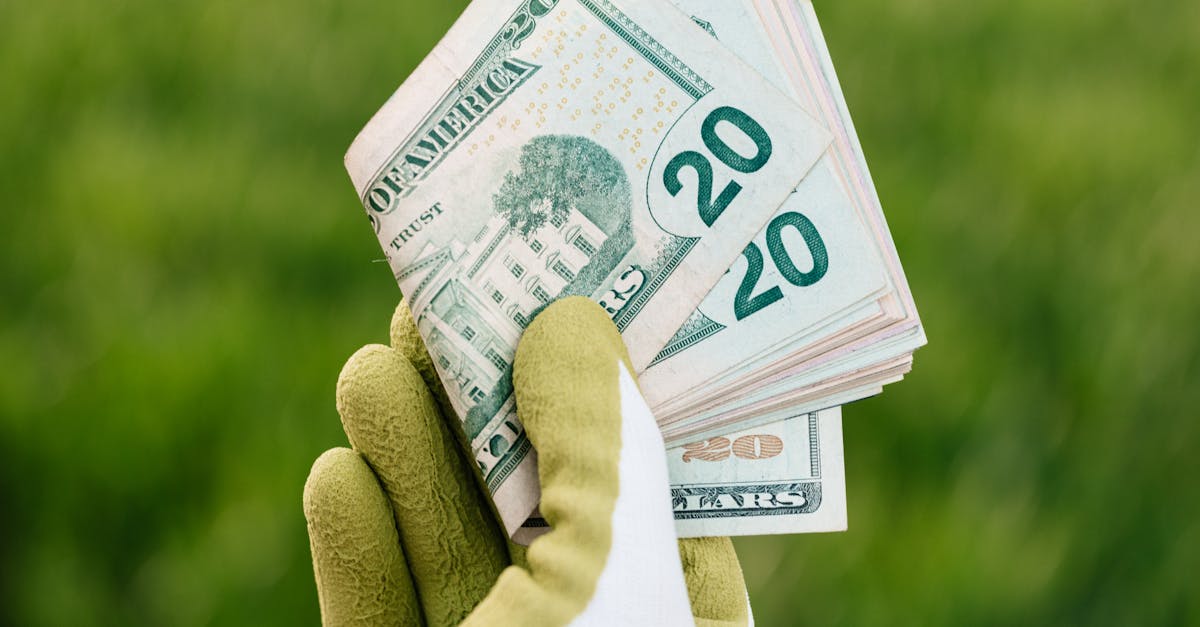Revizuirea estimărilor PIB: scădere de 18 miliarde de lei și o prognoză de creștere de 1,4%