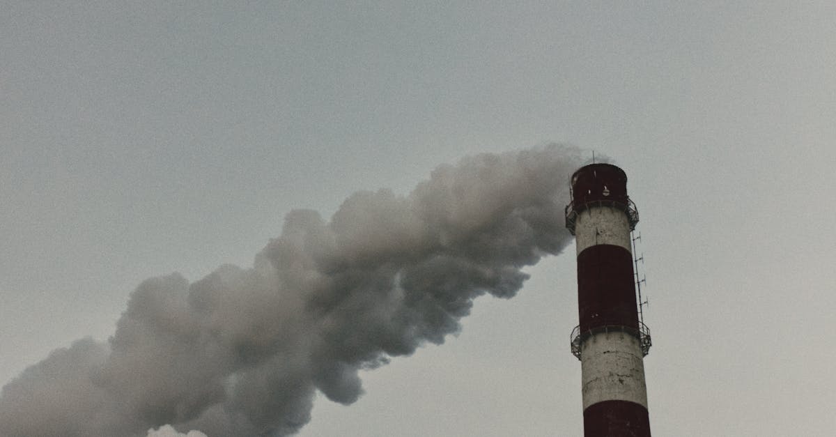 Avertisment sever de la meteorologi: fenomenul meteo care ne va afecta economiile și viața cotidiană