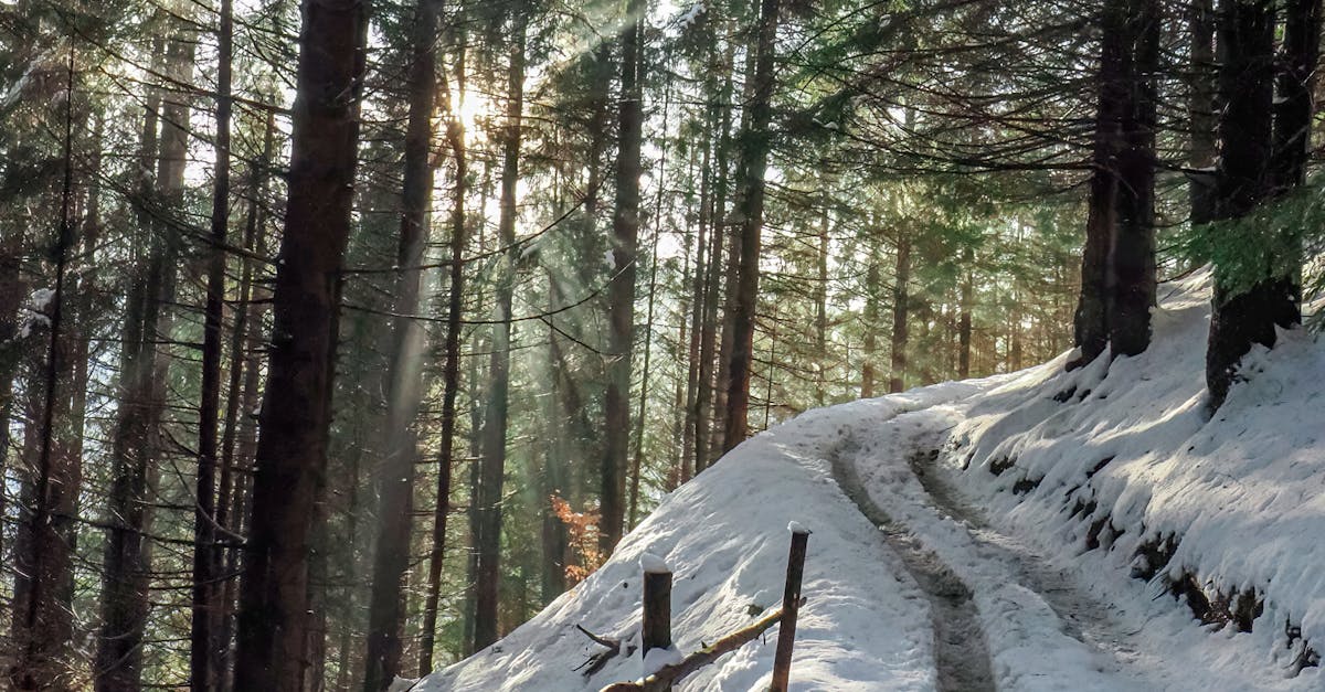 Cutremure în apropierea Brașovului