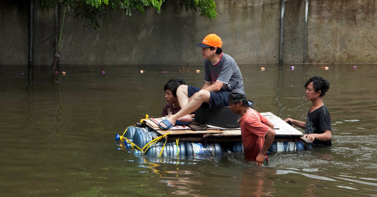 Râul Olt inundă gospodării și o fermă în județul Brașov