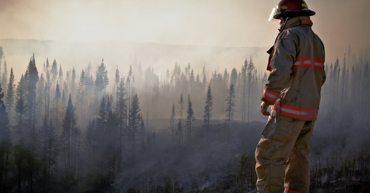 Canada se confruntă cu cea mai extinsă evacuare din istoria recentă din cauza incendiilor de vegetație