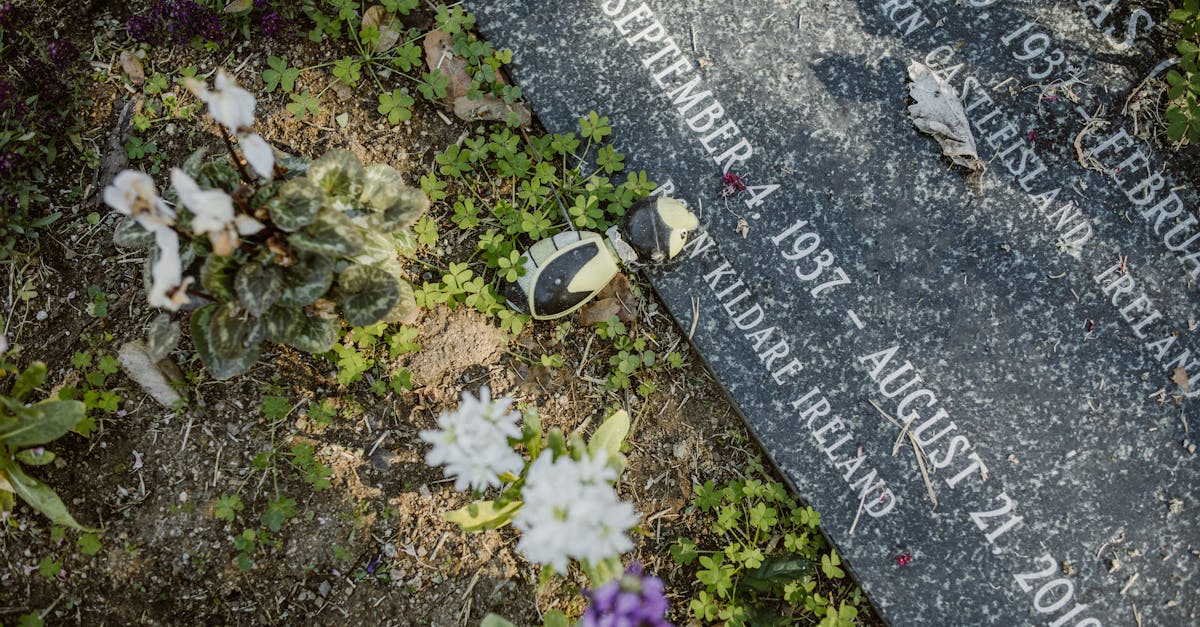 Un fermier britanic s-a sinucis din cauza temerilor legate de impozitele pe moștenire