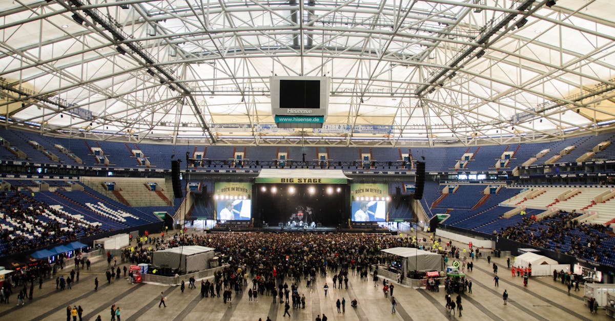 Untold sărbătorește 10 ani cu o inițiativă unică în Europa: o lojă senzorială pentru copiii cu autism la Cluj Arena
