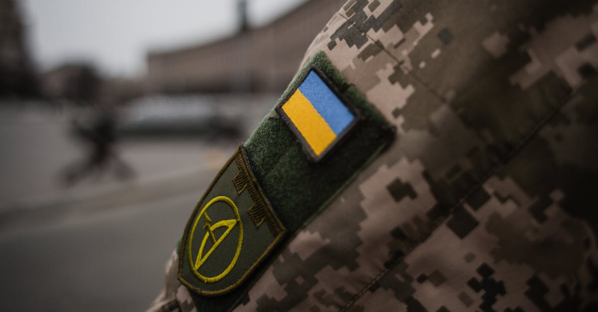 Summitul B9 de la Vilnius, prima apariție internațională a președintelui Nicușor Dan