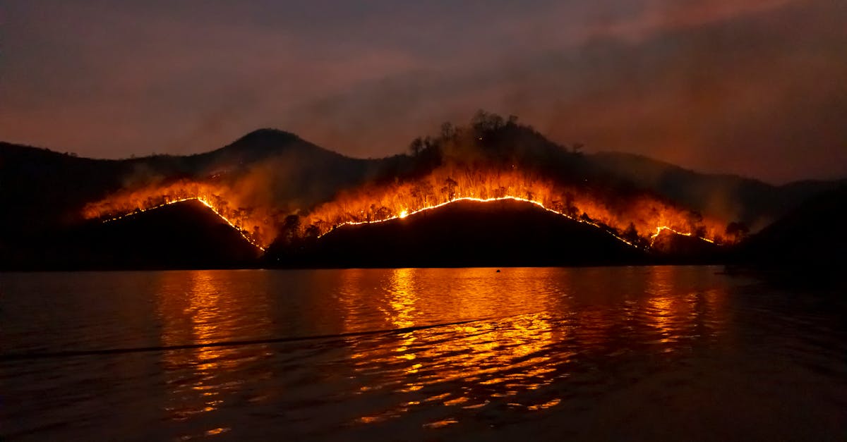 Trei persoane decedate și zeci rănite în urma unui incendiu la un spital din Germania