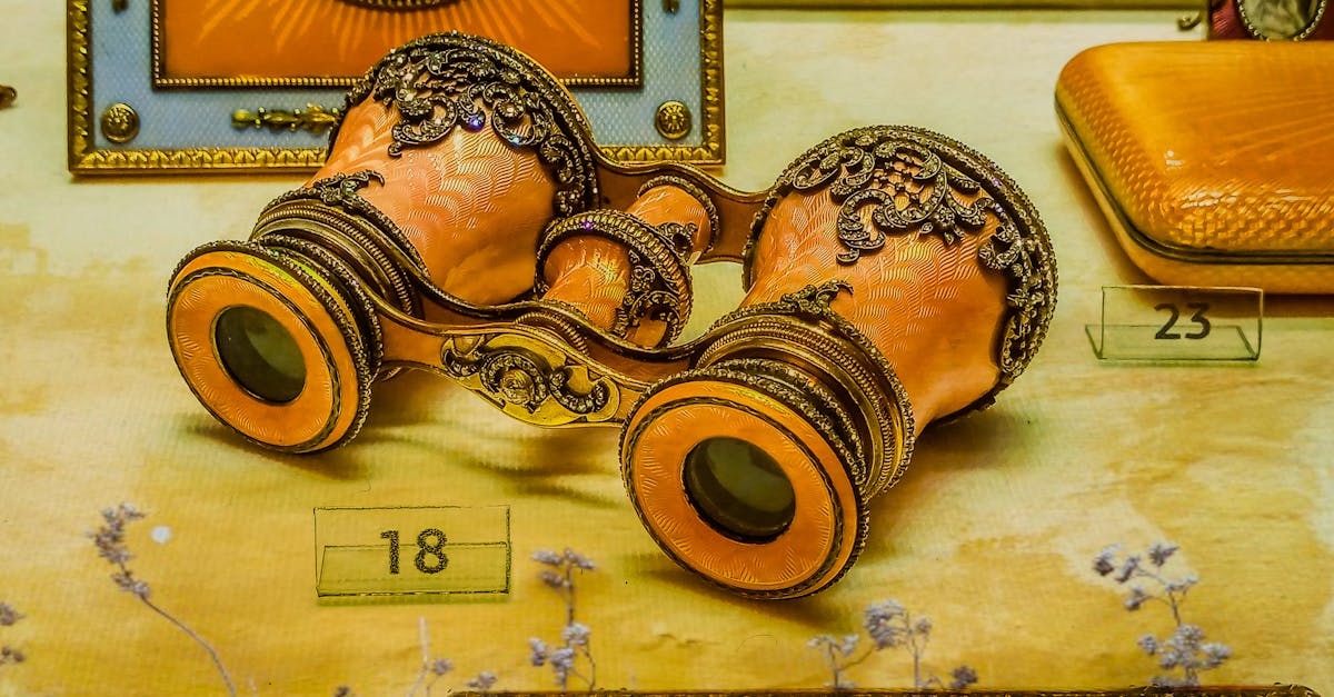 Bărbat descoperă un inel regal vechi de 18 euro cumpărat dintr-un second hand