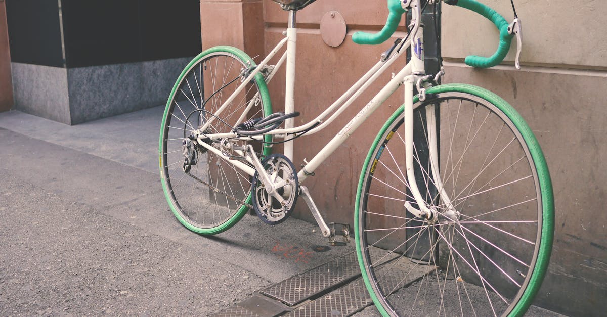 Verde pentru biciclete – proiectul care a transformat Timișoara într-un oraș prietenos cu bicicliștii