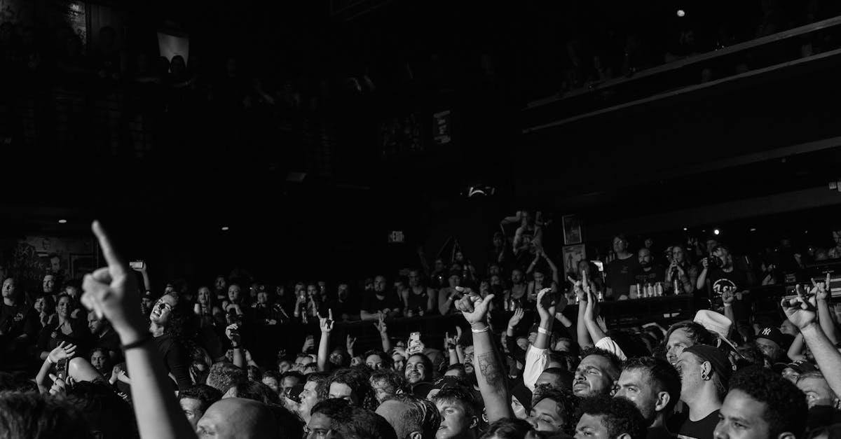 Wild Noise Rock Festival la Archiud: Trei zile de muzică, libertate și scopuri nobile