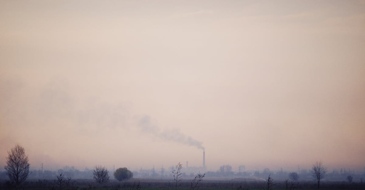 Fumul incendiilor din Canada a ajuns în Europa: datele Serviciului Copernicus