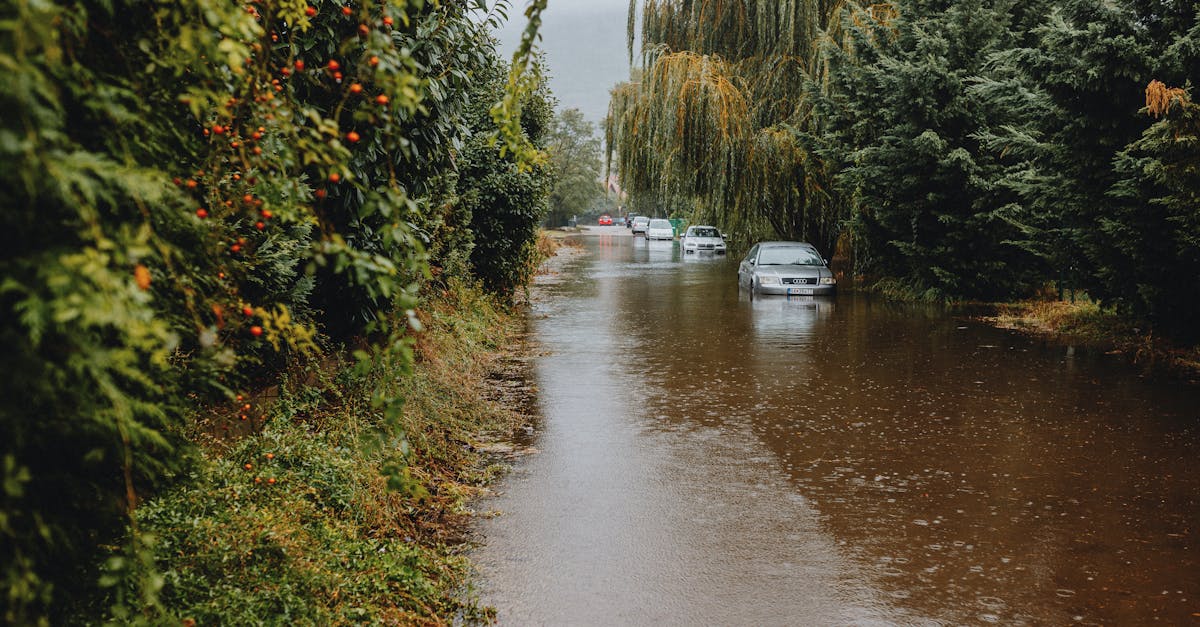 Ploaie torențială devastatoare pe Valea Jiului, mesaj RO-ALERT emis