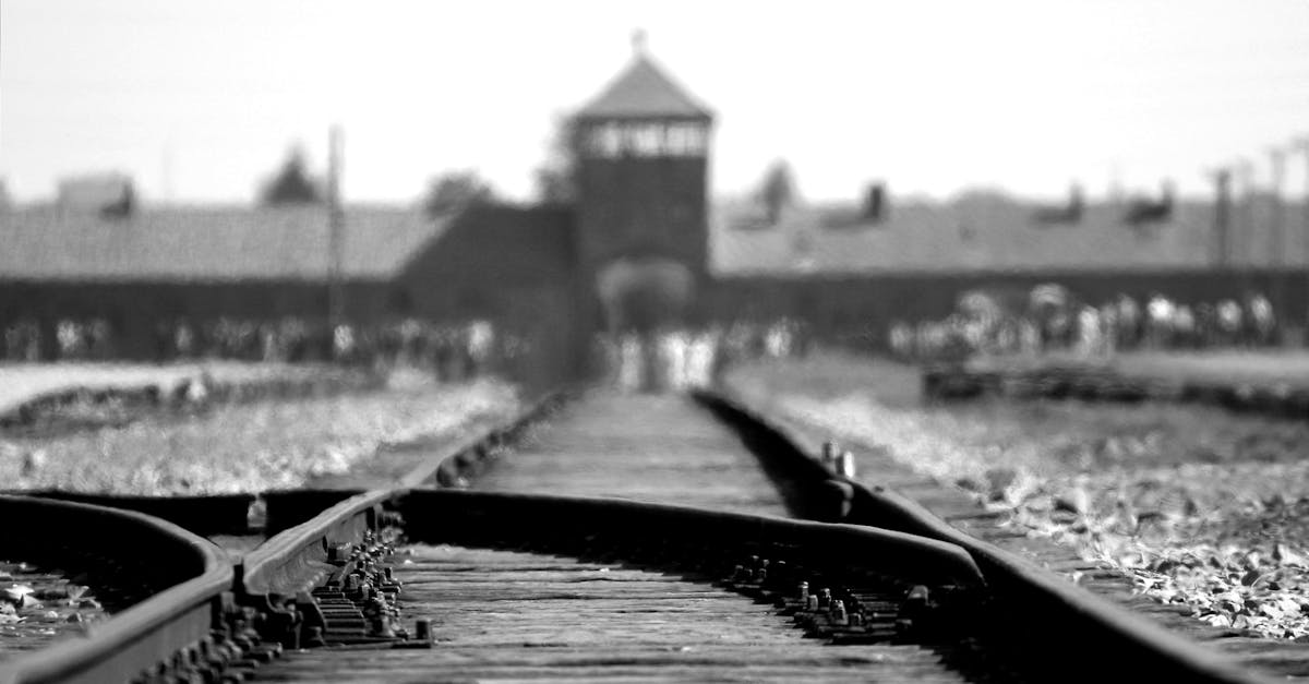 Karol Nawrocki, desemnat «revizionist al Holocaustului» de publicația Times of Israel. Reacția Ambasadei Poloniei