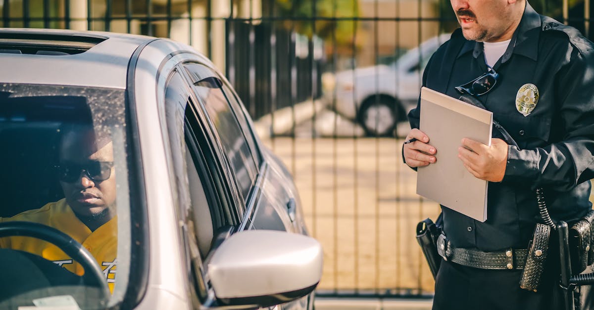 Conducere fără permis și transport ilegal de lemne