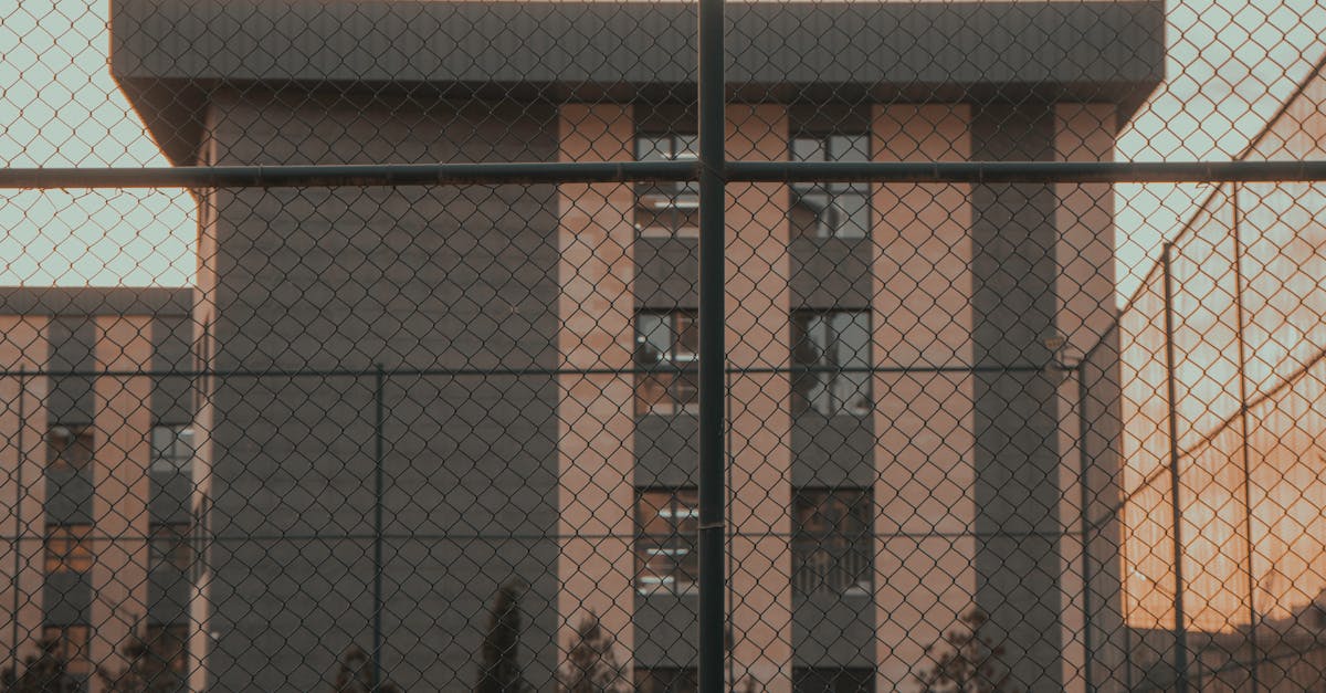 Reabilitarea clădirilor Colegiului „Lațcu Vodă” din Siret, finalizată anticipat