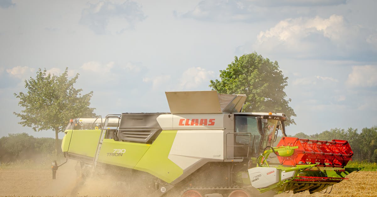 Ziua Grâului: Aproape 900 de fermieri din vestul României s-au întâlnit la Diosig